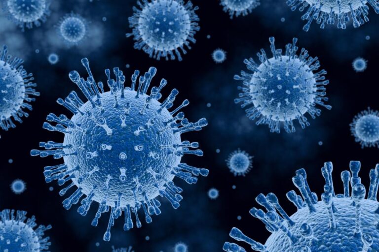 Coronavirus cell structure image