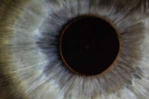Close up image of an iris and pupil